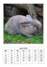 April_Kaninchen_2.pdf